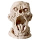 thumbnail image 1 of Maceta Busto Maceta y Escultura Gótica Oscura Adorno Único Maceta Cabeza de Maceta Adorno Clásico Regalo Único Maceta Suculenta Regalo Único 1PC, 1 of 8