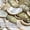 50 pcs, variant on Sinkoo 30 Pcs 2"-2.4" Natural Green Donkey Ear Abalone Sea Shells, Polished Shell Curved Abalone Shell Slices, Furniture Decoration and Shell Art Crafts