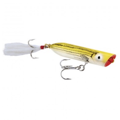 Creek Chub I2500PYC Striper Strike Topwater Fishing Yellow Croaker Bait