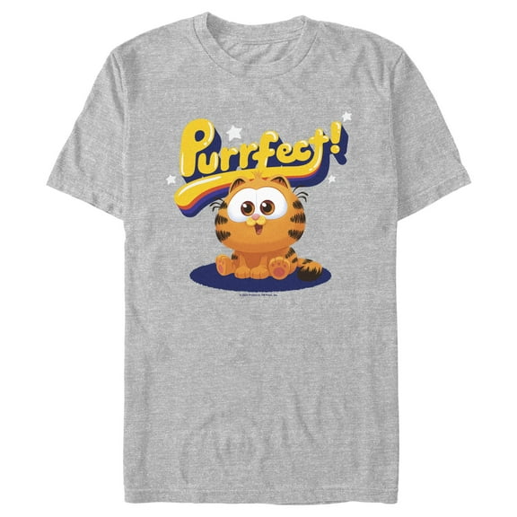 Men's The Garfield Movie Purrfect Baby Graphic Tee Athletic Heather 2X Large