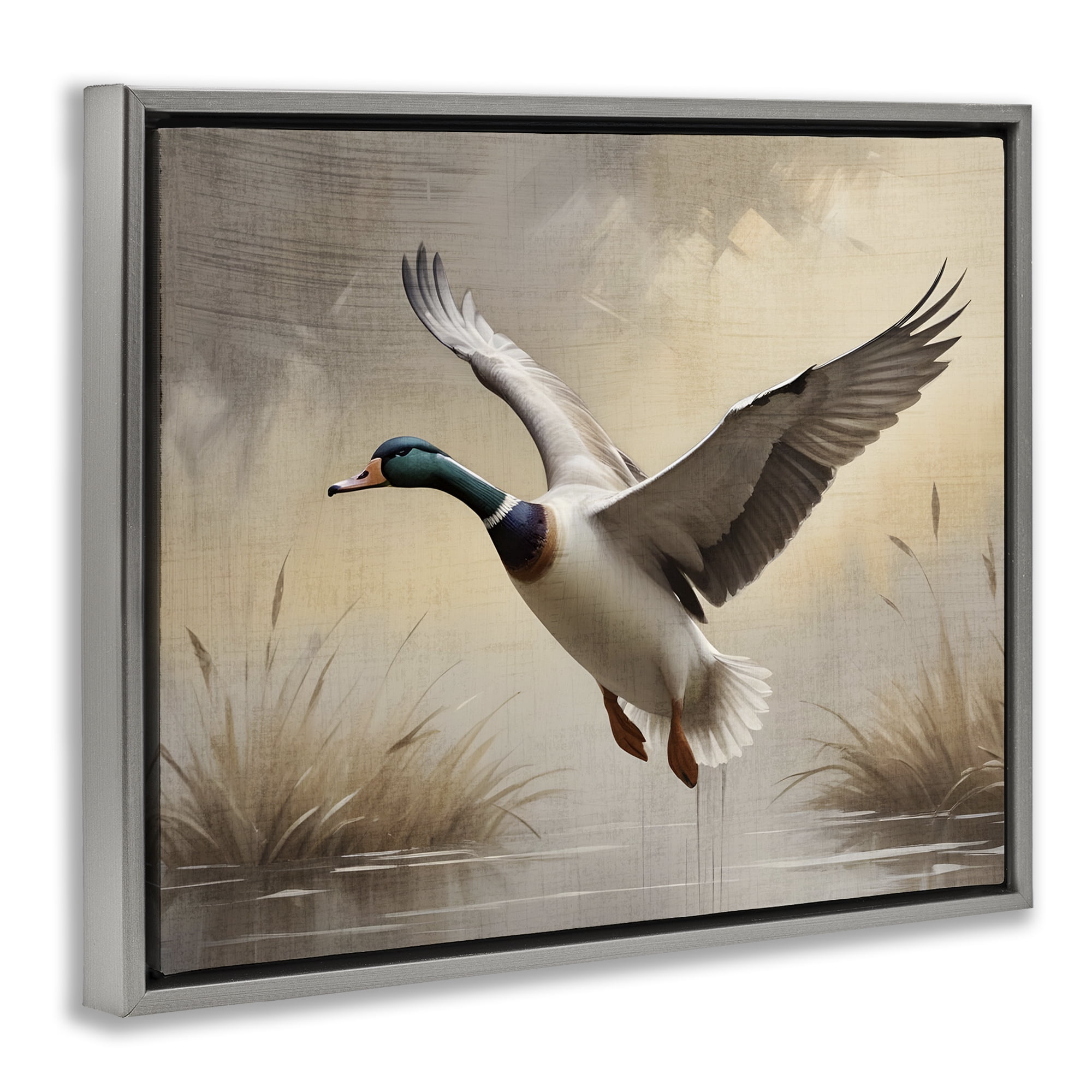 Stupell Industries Gliding Mallard over Wetlands Gray Framed Floater Canvas Wall Art, design by Susan Arnot