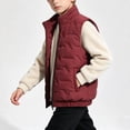 thumbnail image 5 of YUANxueke Boys Puffer Vest Zip Up Stand Collar Casual Fleece Lined Quilted Sleeveless Jackets with Pockets for 7-16 Years, 5 of 8