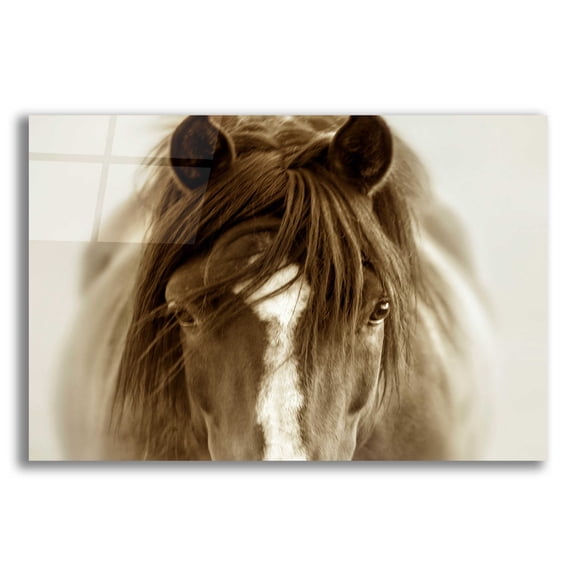 Epic Art 'Ghost Horse' by Lisa Dearing, Acrylic Glass Wall Art, 24"x16"