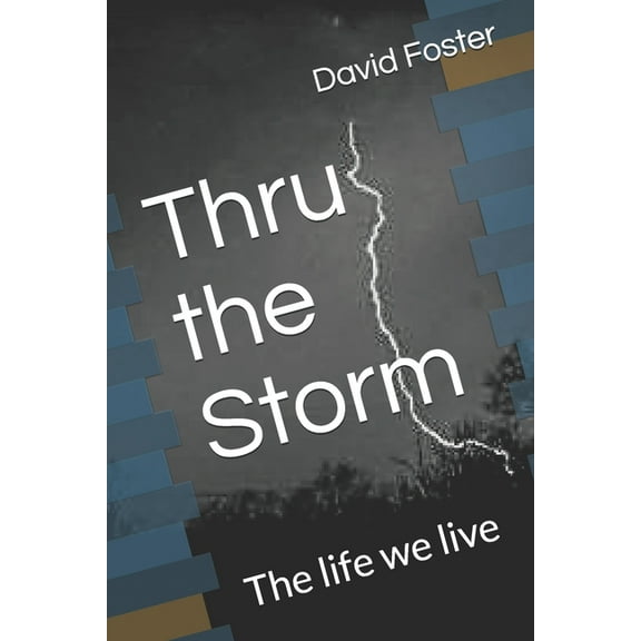 Thru the Storm: The life we live (Paperback)