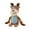 A010- Style J, variant on Puppy Plush Toy, Sound-Making Dog Toy, Cute Cartoon Frog Toy - Soft Corduroy Material, Durable for Teething, Cute Design with Floppy Limbs - Puppies, Small Dogs, Playtime, Cuddling, Pet Entertainment