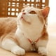 thumbnail image 1 of Manta para perros con grabado Placas de identificación metálicas para perros perdidos Collares para gatos con nombre, 1 of 8