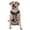 With Accessories, variant on Vsdgher Colorful Sky Puppy Pattern Dog Harness,No Pull Pet Harness with Soft Padded Handle,Adjustable Reflective Vest with 2 Buckles,4 Slide Buckles,S-XL Medium