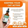 thumbnail image 4 of LIQUIDHEALTH Glucosamine Cat Joint Supplement for Feline Hip Pain & Joint Pain Relief, 2 Oz, 4 of 7