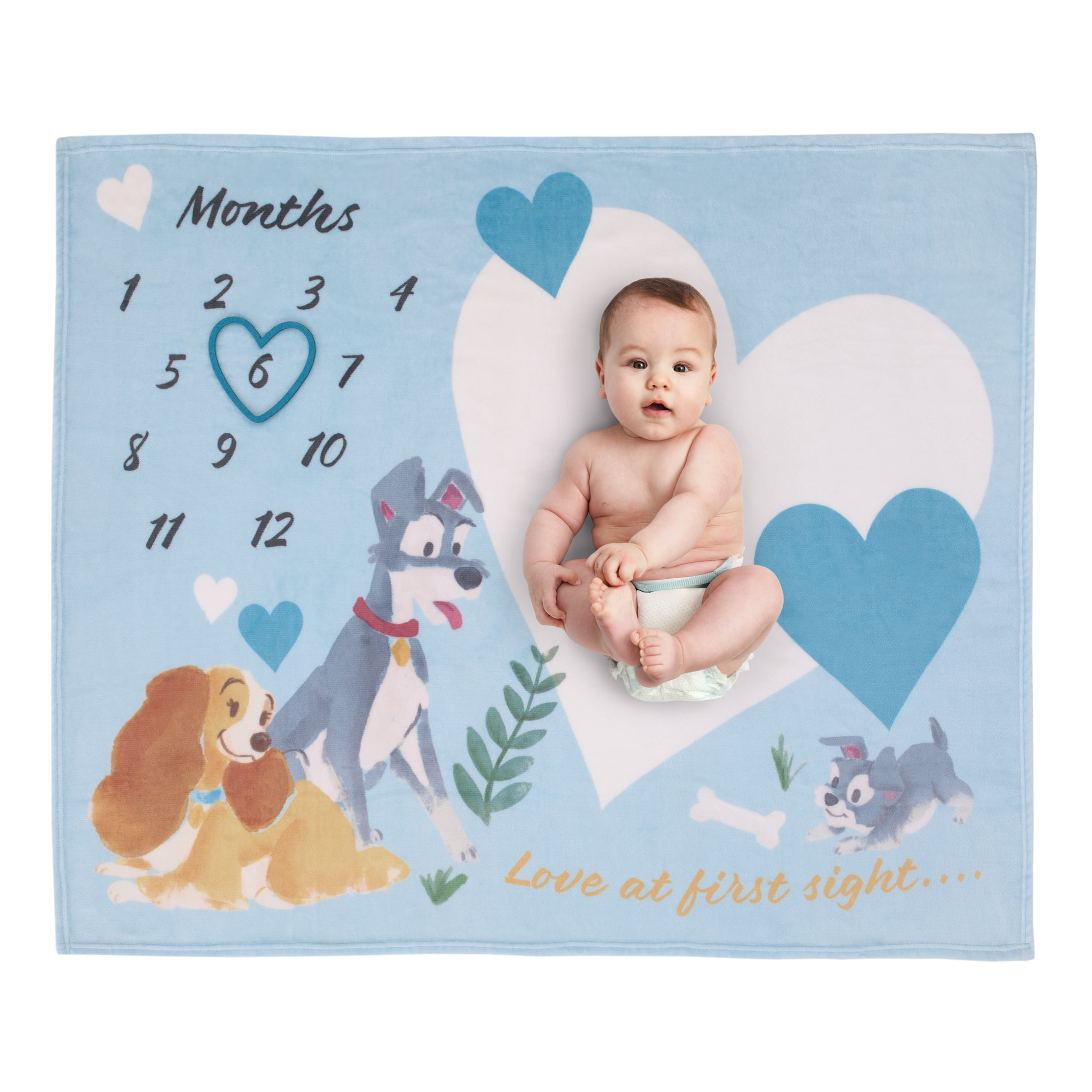 Disney Lady & the Tramp Photo Op Milestone Baby Blanket