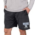 thumbnail image 2 of Men's Concepts Sport Charcoal Kentucky Wildcats Bullseye Knit Jam Shorts, 2 of 2