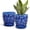 Blue, variant on BUYMAX ceramic plant pots, 6 inch plant pots with drainage hole and saucer, indoor/outdoor flower pots, set of 2, leaf embossed - white glaze