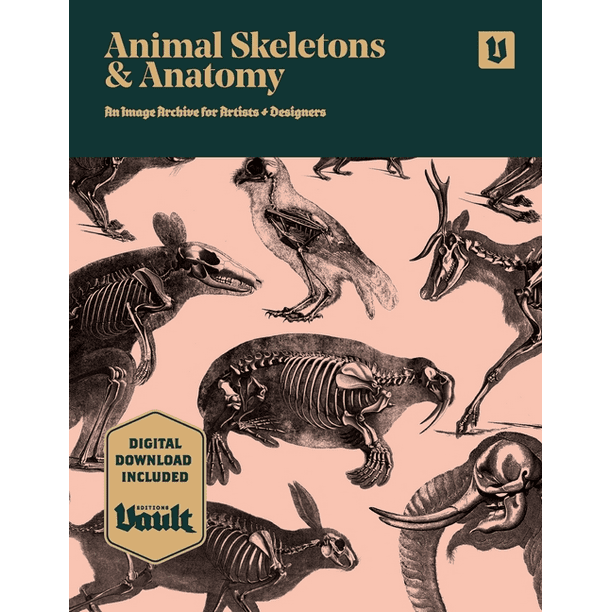 Animal Skeletons and Anatomy : An Image Archive for Artists and Designers  (Paperback) 