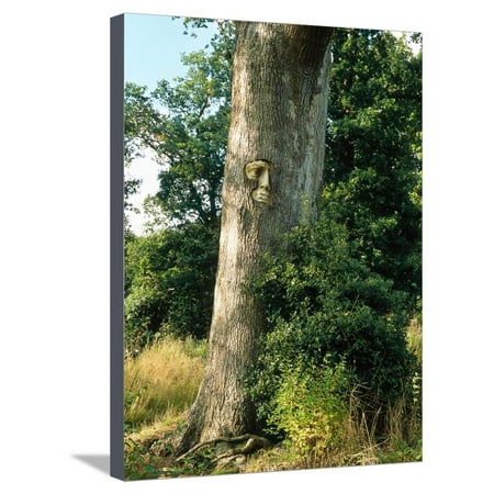 Forest Tree Face Garden - Unusual Garden Enchanted Forest Face Set in Tree Trunk October Groombridge Place, Kent Stretched Canvas Print Wall Art By Sunniva Harte