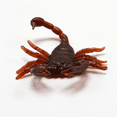 thumbnail image 4 of 100pcs Flies Scorpion Joke Prank Imitation Insect Halloween Gadgets Fool's Day Toy, 4 of 6