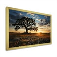 thumbnail image 2 of Designart "Sunset Orange Bonnets Field" Blue Bonnets Picture Framed Wall Art Prints, 2 of 5