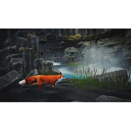 Spirit of The North Adventure Video Games - PlayStation 5 Standard Edition