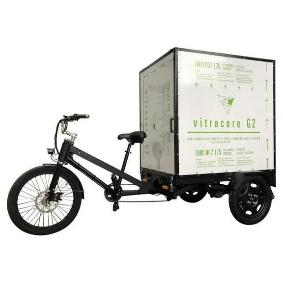 Electric Box Cargo Bike Trike – EBC 100X | Motorized Delivery Trike for Business & Personal Use