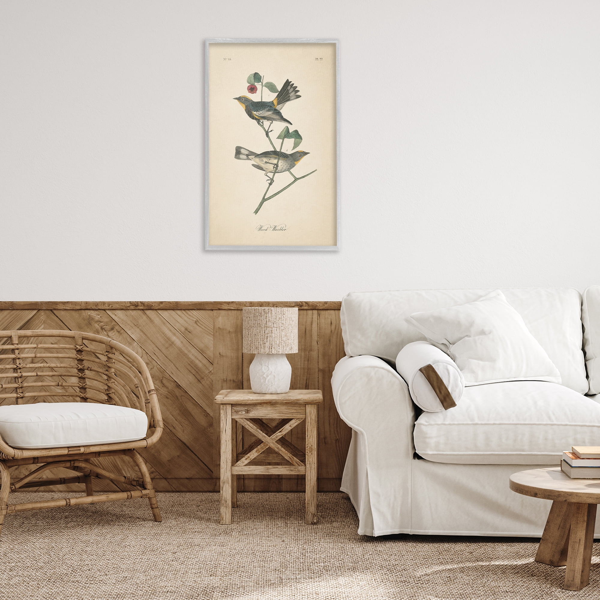 Stupell Industries Vintage Warbler Page Animals & Insects Painting Gray Framed Art Print Wall Art, 20 x 30