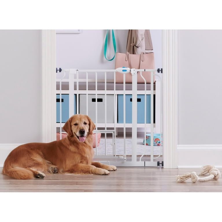 Carlson extra wide walk through gate with pet door hotsell