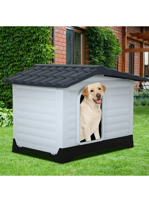 Small Dog Houses in Dog Houses
