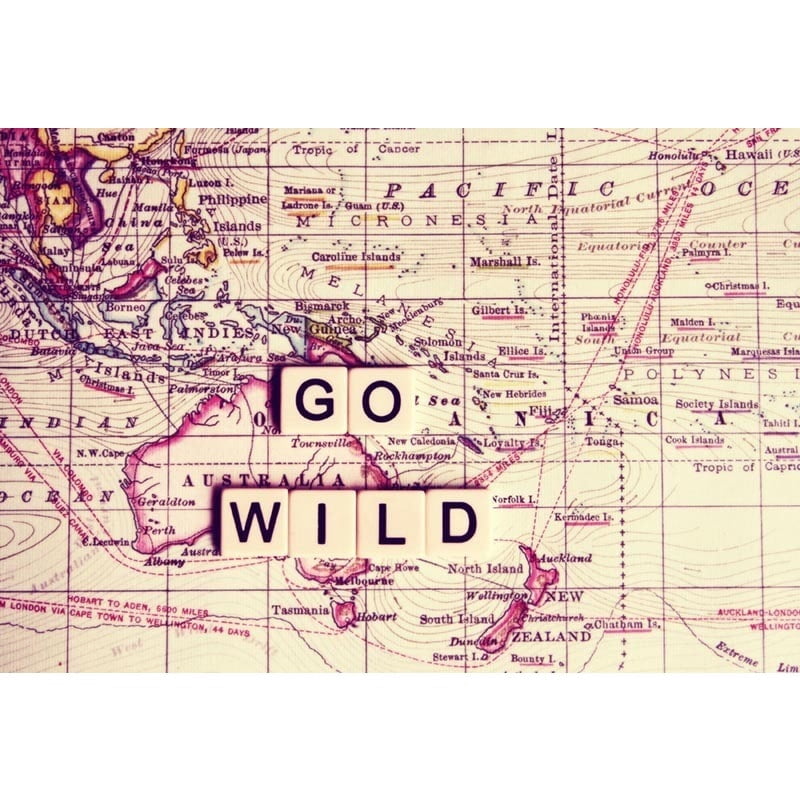 Marmont Hill "Go Wild" Sylvia Cook Painting Print on Canvas