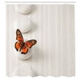 thumbnail image 3 of Ambesonne Boho Shower Curtain, Butterfly Rocks Healing, 69"Wx84"L, White Orange, 3 of 5