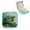 Green, variant on Turtle Ocean Starfish Jewelry Box for Women - Compact Travel Case White