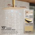 thumbnail image 4 of Sistema de ducha HoliSpa Gold con montaje en techo de 10 pulgadas y montaje en pared de 8 pulgadas, 4 of 9
