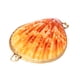 thumbnail image 2 of Bolsa de joyería de concha natural de 6 cm, estuche creativo para guardar anillos, pendientes y otros objetos pequeños (concha), color aleatorio., 2 of 7