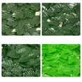 thumbnail image 2 of Algaecide Powder/Tablet for Aquarium Indoor Pool Fish Bowl Lichen Remover, 2 of 6