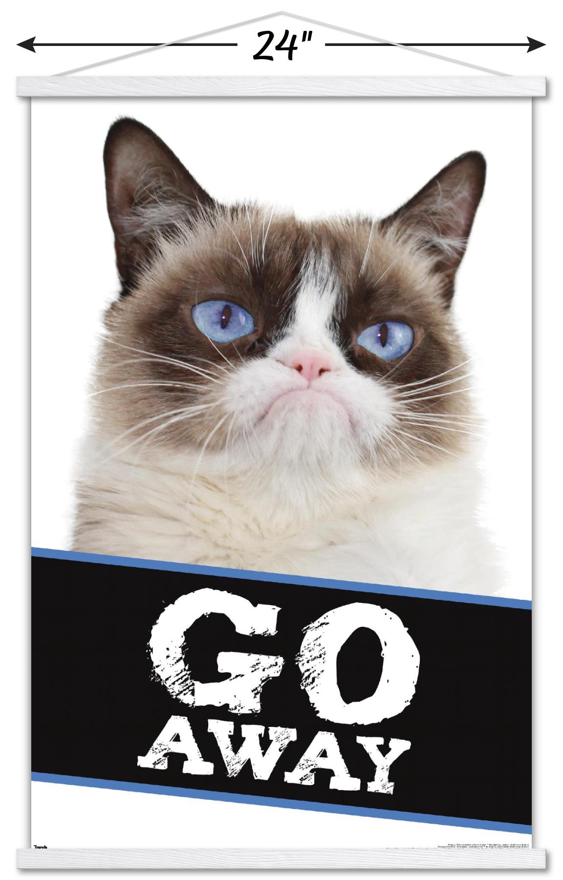 Grumpy Cat - Go Away Wall Poster with Magnetic Frame, 22.375" x 34"