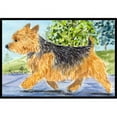 thumbnail image 1 of Carolines Treasures SS8879MAT Norwich Terrier Tapis Intérieur Extérieur - 18 x 27 Po., 1 of 4