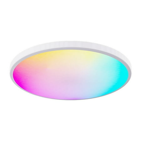 

12 Inch 24W RGBCW Full Color Ceiling Light 3000K-6500K Dimming Color Matching Bluetooth Voice Ceiling Light EU 220V-240V