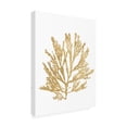 thumbnail image 2 of Wild Apple Portfolio 'Pacific Sea Mosses I Gold' Canvas Art, 2 of 3