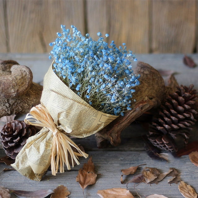 Natural Dried Flower Home Decor Natural Dried Flower Full Stars Gypsophila
