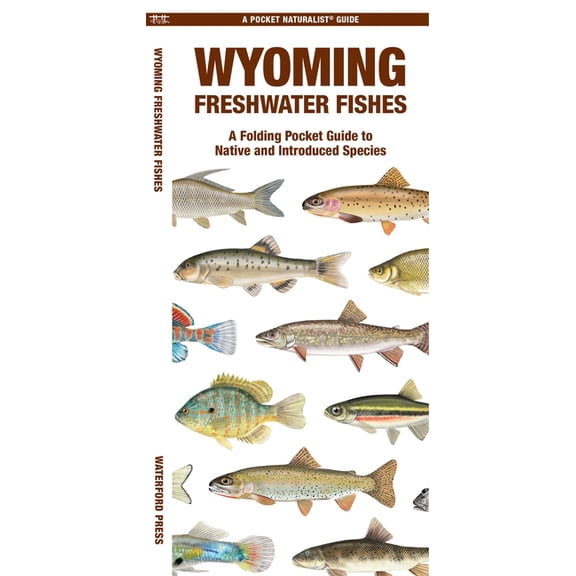 Nature Observation North : Wyoming Freshwater Fishes : A Folding Pocket Guide to Native and Introduced Species (Other)