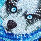 thumbnail image 5 of Pintura Diamante,DIY 5D diamante pintura lindo perro patrón 200x150mm taladro completo diamante bord Meterk 4, 5 of 7