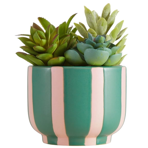 Mainstays Green and Pink Striped Ceramic Jar with Faux Succulent