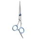 thumbnail image 1 of PISTA PROFESIONAL PISTA CREATIVA Herramienta de corte de cabello Barbero para el cabello Pelio Pelio de tijera Cortero plano (tornillo azul), 1 of 7