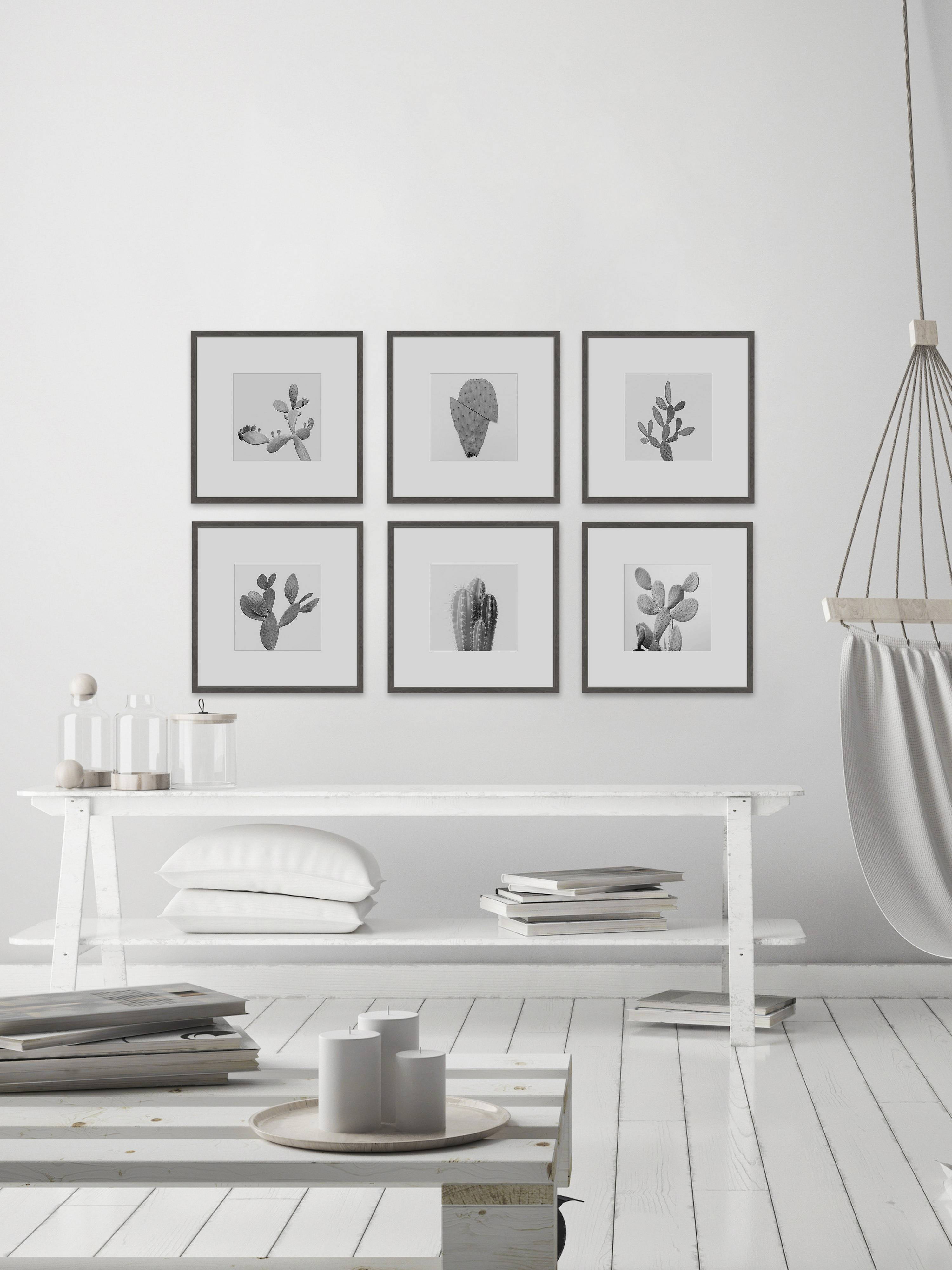 Cactus Variety Ii He x aptych, Art Prints, 54.00" x 1.50"
