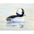 thumbnail image 1 of Betsy Drake PM827 Tapis de Lieu de Canard Bufflehead - Lot de 4, 1 of 1