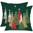 thumbnail image 1 of Juego de 2 fundas de almohada decorativas DFXSZ, 46 x 46 cm, para Navidad, 1 of 6