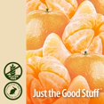 thumbnail image 4 of Suplemento líquido Nature's Answer CO-Q10, 240 ml, vegano, 4 of 6