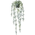 thumbnail image 1 of 1 Pieza Planta Colgante Artificial Planta Colgante de Eucalipto en Maceta Falsa para Pared, HabitacióN, Hogar, Patio, DecoracióN Interior y Exterior, 1 of 5