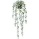 thumbnail image 1 of 1 Pieza Planta Colgante Artificial Planta Colgante de Eucalipto en Maceta Falsa para Pared, HabitacióN, Hogar, Patio, DecoracióN Interior y Exterior, 1 of 5