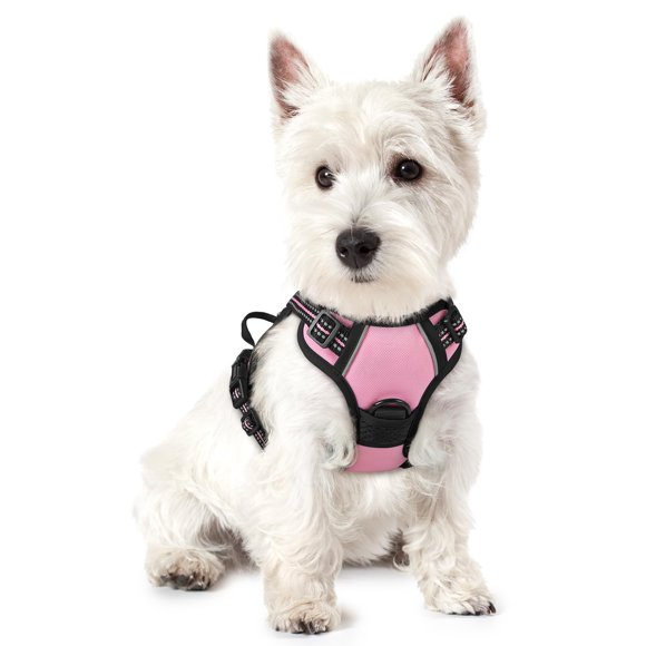 rabbitgoo Harnais pour Chien, Harnais pour Animaux Anti-Traction avec 2 Pinces à Laisse, Gilet Rembourré Doux Réglable, Gilet Oxford Réfléchissant Anti-Étouffement avec Poignée de Contrôle Facile pour Petits Chiens, Rose, TP