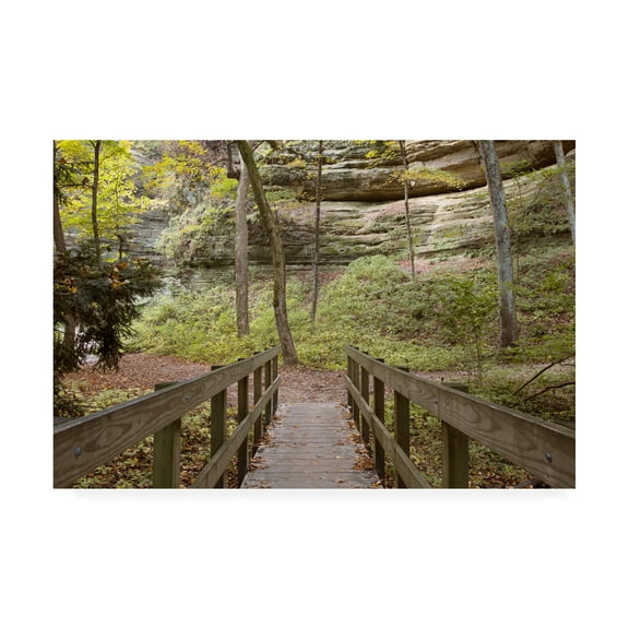 Trademark Fine Art 'Bridge In The Canyon' Canvas Art by Monte Nagler
