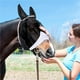 thumbnail image 2 of Máscara contra moscas de caballo con cubierta para las orejas, protección UV, máscara contra moscas para caballos con cubierta para los ojos, red negra, protector solar equino, paseo tranqui, 2 of 5