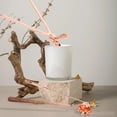 thumbnail image 4 of Candle Accessory Set, Rose Gold Stainless Steel Candle Snuffer Quickly Extinguish  For Daily Use, 4 of 8