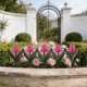 thumbnail image 5 of Valla decorativa de jardín de plástico para jardín pequeño y jardinería, fácil de instalar mini valla de borde para espacios exteriores, 5 of 5